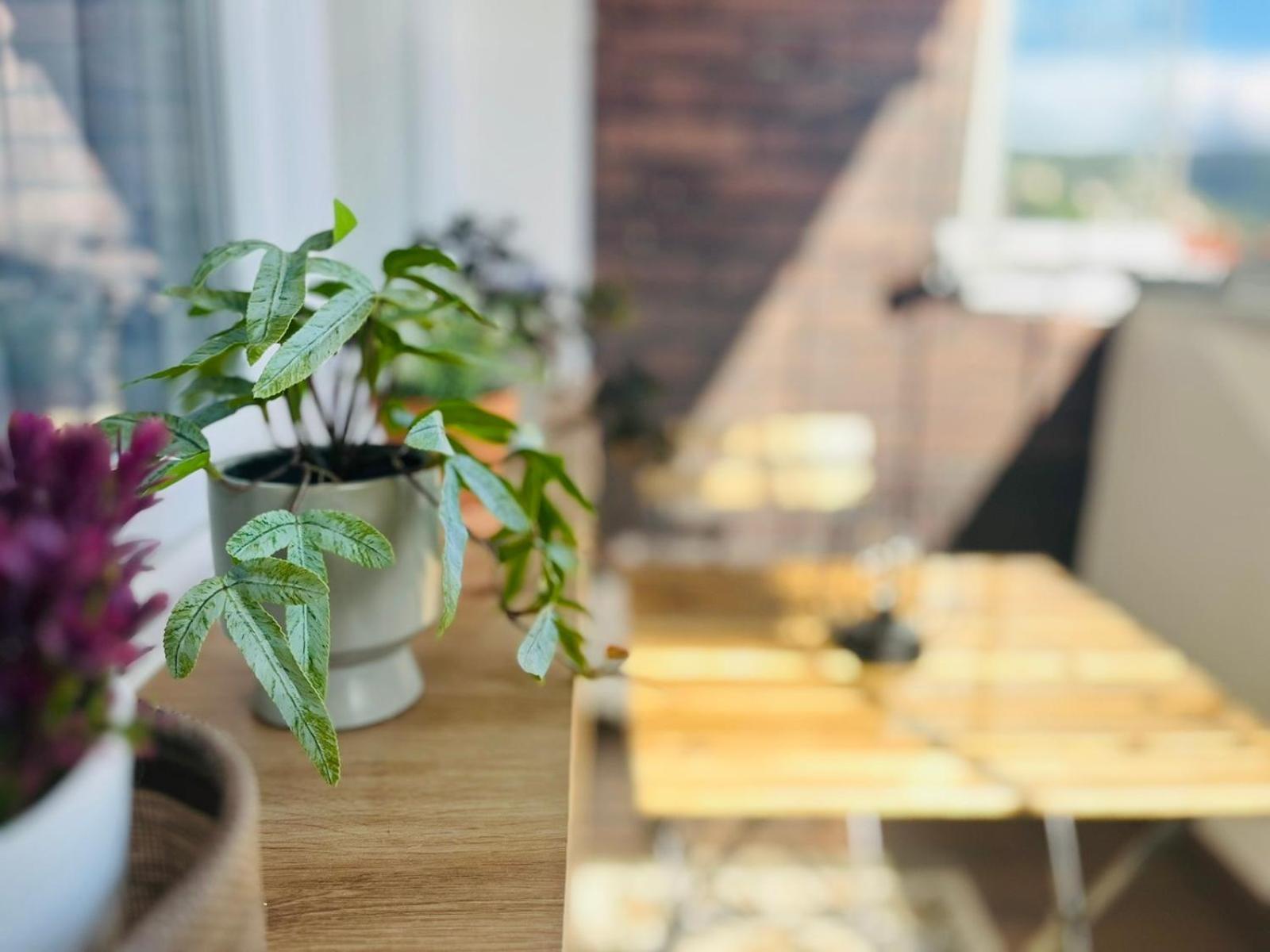 Mak Apartment - Free Parking - Balcony Sarajevo Luaran gambar